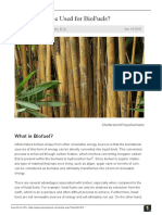 Bamboo Bio Fuel