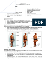 1.1 & 1.2 Muskuloskeletal PDF