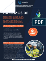 Seguridad Industrial.pdf