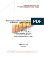 processamento da linguagem naturais.pdf