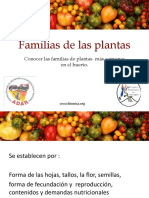 CCID BioNica - ADAR Familias de Las Plantas