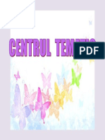 Centrul Tematic