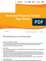 Incrementar ventas proyecto Turpial 2020