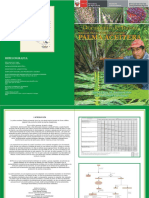 manual_palma_chico.pdf