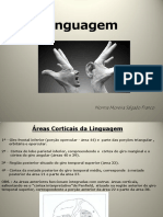 As principais áreas corticais envolvidas na linguagem e os tipos de afasia