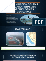 Contaminación Del Mar Peruano y Especies Hidrobiológicas Amenazadas 1