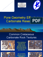 Pore geometry effect.pdf