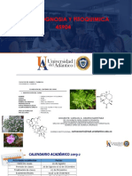 Unidad 3 Metabolitos Primarios (Lipidos) Farmacognosia y Fitoquimica