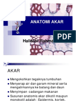 Kuliah 7 Anatomi Akar PDF