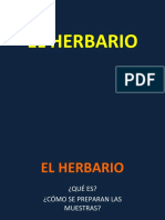 Presentación 1 Herbario 2020