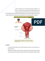 Laporan Tutorial Anatomi, Histo Paratiroid