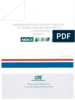 ANEXO S, Lineamientos de Seguridad y.pdf