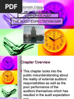 Download 5 CA Audit Expectation Gap by Dayana Mastura SN44840901 doc pdf