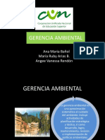 Gerencia Ambiental.ppt