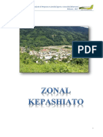 05 REPORTE ZONAL KEPASHIATO.pdf
