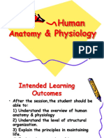 01 A - Human Anatomy