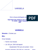 Varisela Power Point