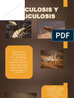 Pulicuosis y pediculosis