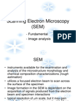 Scanning Electron Micros