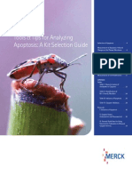 Tools & Tips For Analyzing Apoptosis A Kit Selection Guide - EUR