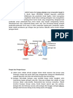 Pembuluh Darah 2