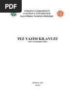 Lisansustu Tez Yazim Kilavuzu Apa6th