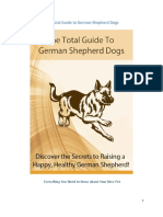 The Total Guide To German Shepherd Dogs