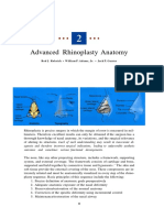 02 - Advanced Rhinoplasty Anatomy