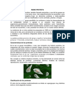 REINO PROTISTA.docx