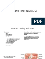 Anatomi Dinding Dada