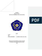 Format Laporan PLP 1