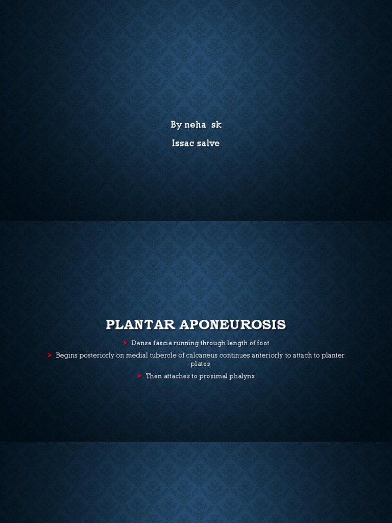 Windlass Mechanism PDF