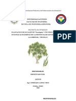 EUCALIPTO COMERCIALIZACION.pdf