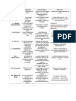 Partes de La Celula