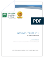 INFORME