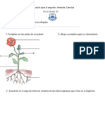 Evaluación para El Segundo Trimestre Ciencias