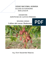 II Unidad Cultivo de Cacao (Tehobroma Cacao)