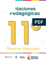 Orientaciones pedagógicas-Ciencias-Naturales-Grado-11.pdf