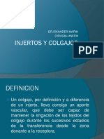 Injertos y Colgajos