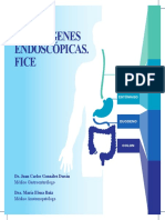 Atlas de Imagenes Endoscopicas FICE_booksmedicos.org.pdf