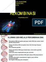 Genetika A Rekombinasi