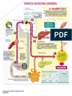 EJE MICROBIOTA