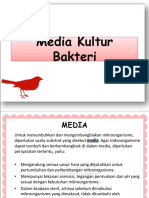 2016-2017 Media Kultur Dan Isolasi