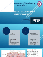 010_Insulina_glucagón_DM.pptx
