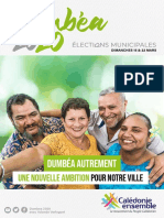 CE Programme Dumbéa - Municipales 2020