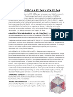 RESUMEN PATOLOGIA ESPECIAL Higado PDF