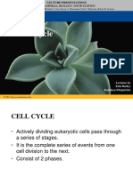 Cell Cycle and Mitosis