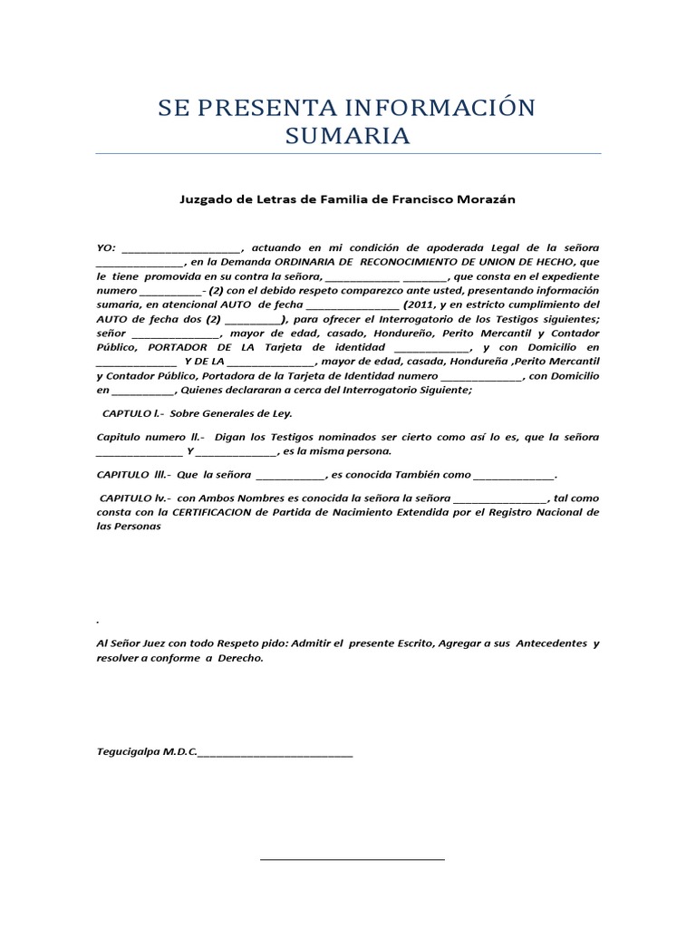 Modelo de Información Sumaria Judicial | PDF | Derecho