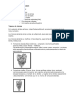 Clasificación y tipos de trépanos para perforación de rocas