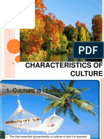 characteristis_of_culture.pdf